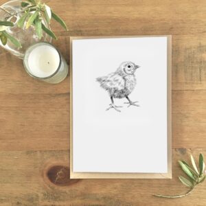 Chick Greetings Card