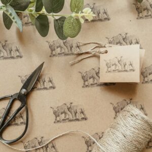 Lambs Luxury Eco Wrapping Paper & Gift Tag Set