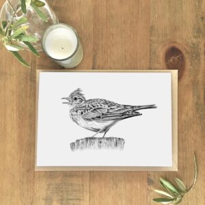 Skylark Eco Greetings Card