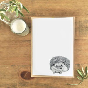 Hedgehog Eco Greetings Card